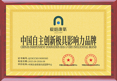 中國自主創(chuàng)新極具影響力品牌