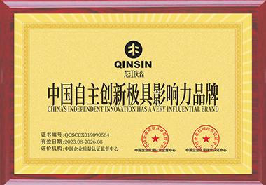 中國自主創(chuàng)新極具影響力品牌